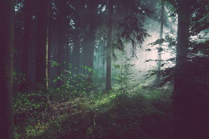 sebastian-unrau-47679-unsplash.jpg